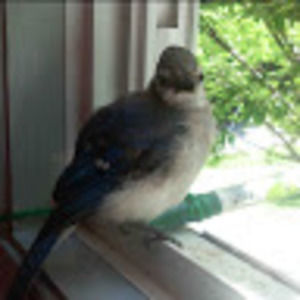 Meet your Posher, Wade1246